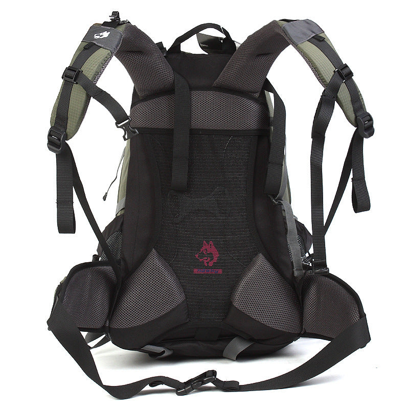 Backpack Hiking Nylon Rainproof