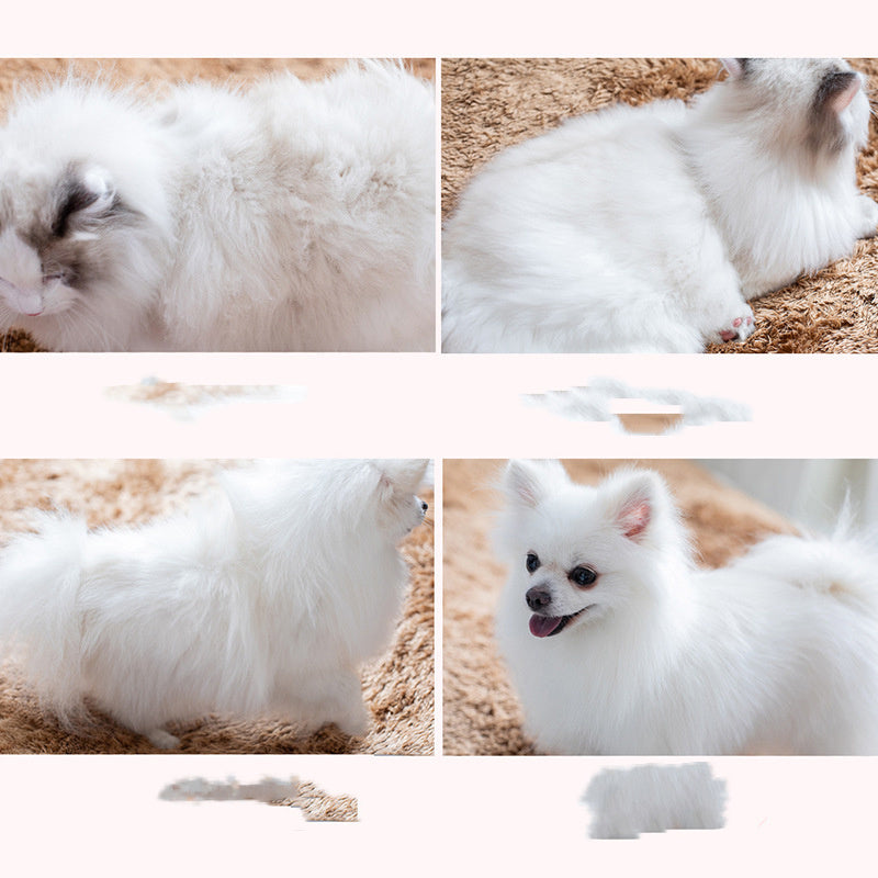 Golden Retriever Comb Supplies